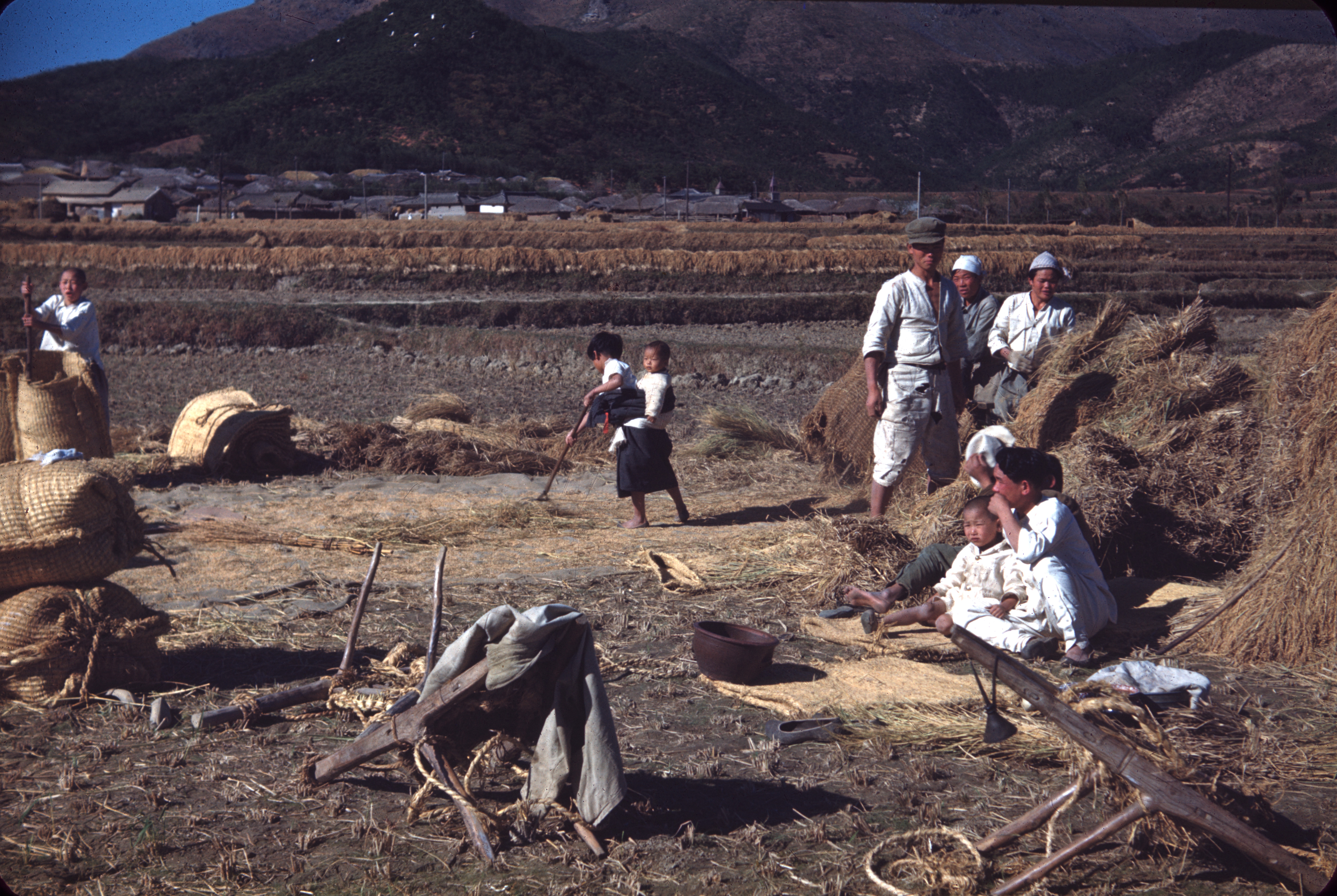 Agriculture