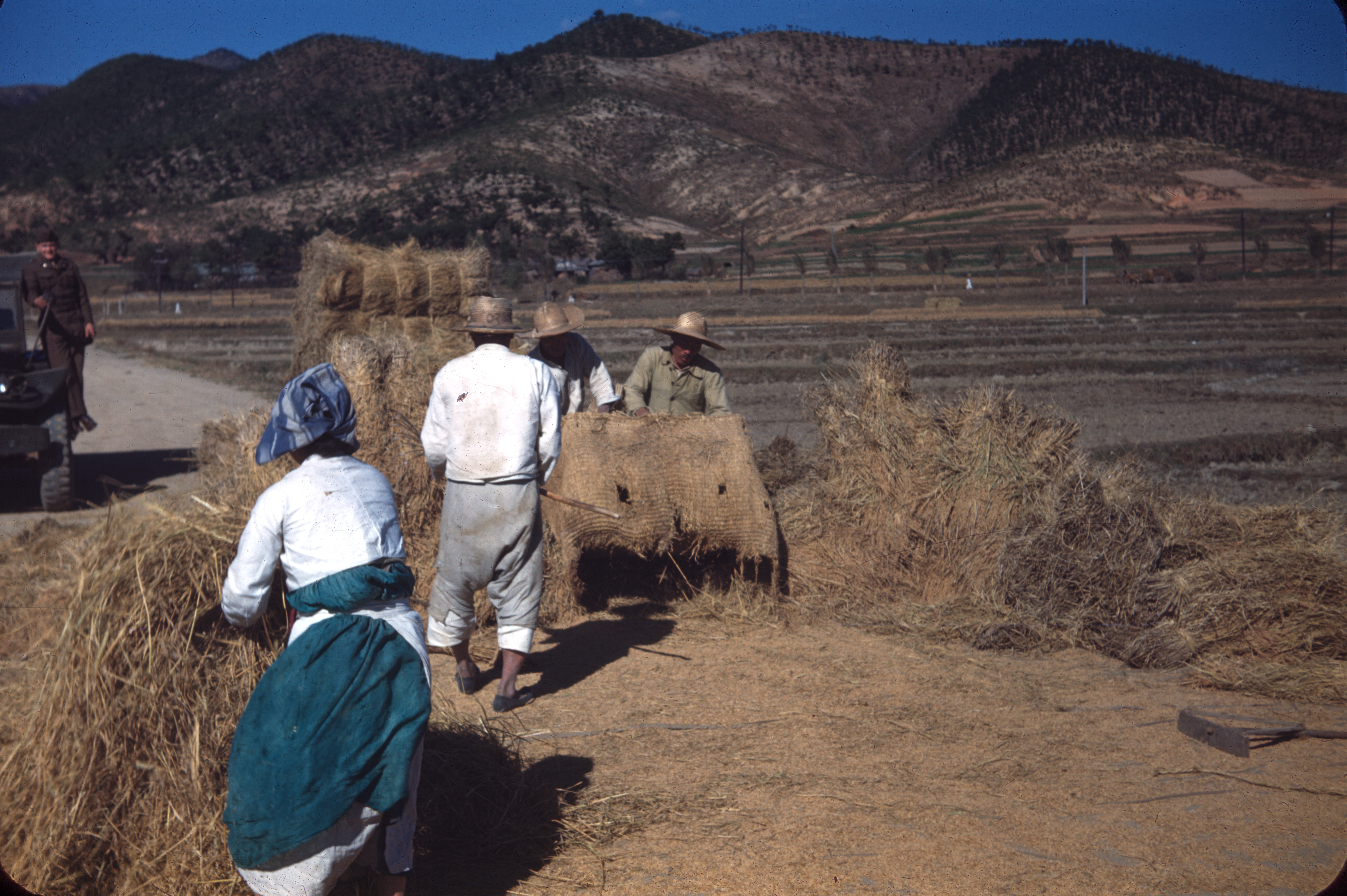 Agriculture